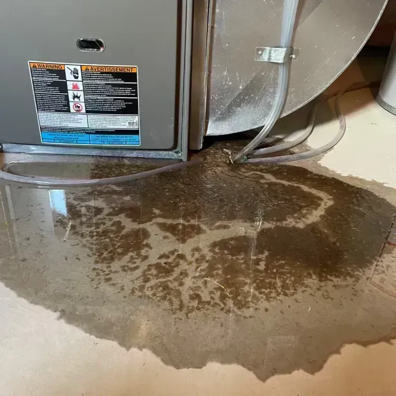 Appliance Leak Cleanup in Loma, CO